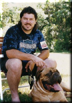 Cane Corso Breeder In Ct Sleeping Giant Cane Corso